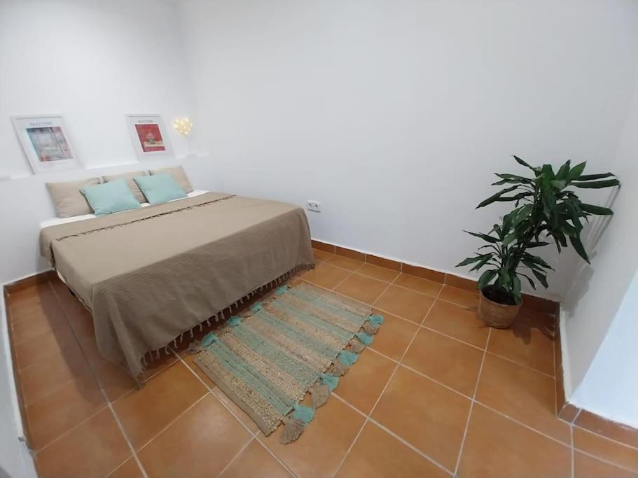 Cala Salions Balandro II Tossa De Mar Apartamento Canet De Mar Exterior foto